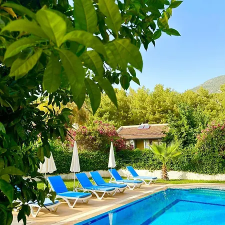 With A Private Pool And Mountain View In A Quiet Area Next To Fores